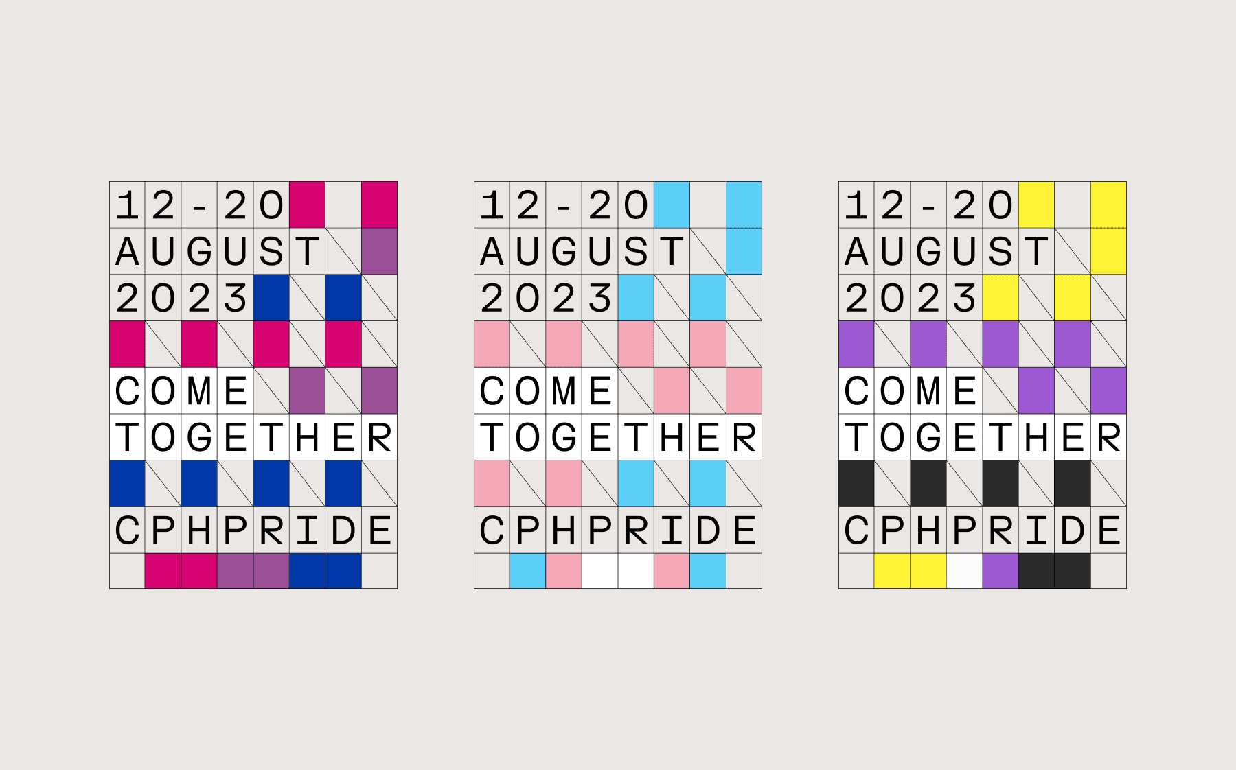 Copenhagen Pride Project Picture 4